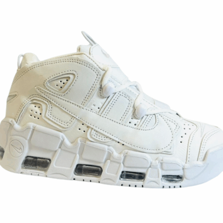 UPTEMPO PALOMA