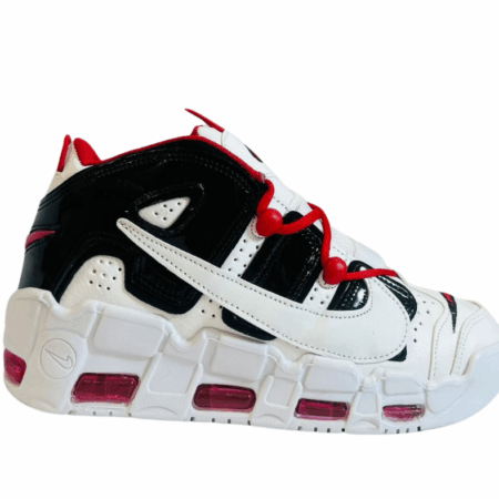 UPTEMPO PALOMA