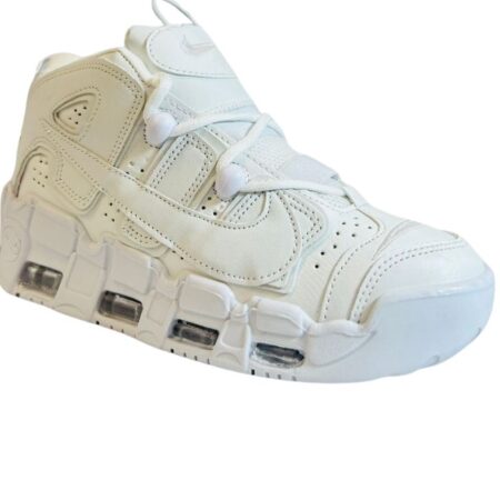 UPTEMPO PALOMA